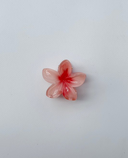 Mini pinza hawai salmón