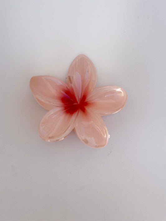 Pinza Hawai rosa