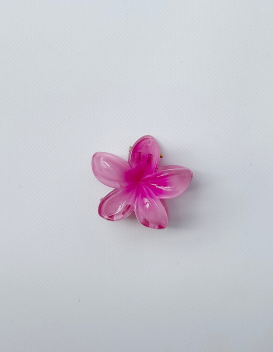 Mini pinza hawai fucsia