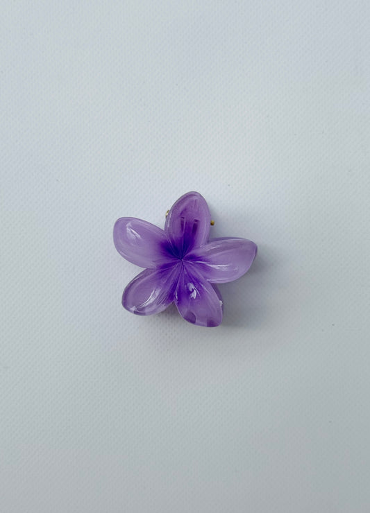 Mini pinza hawai lila
